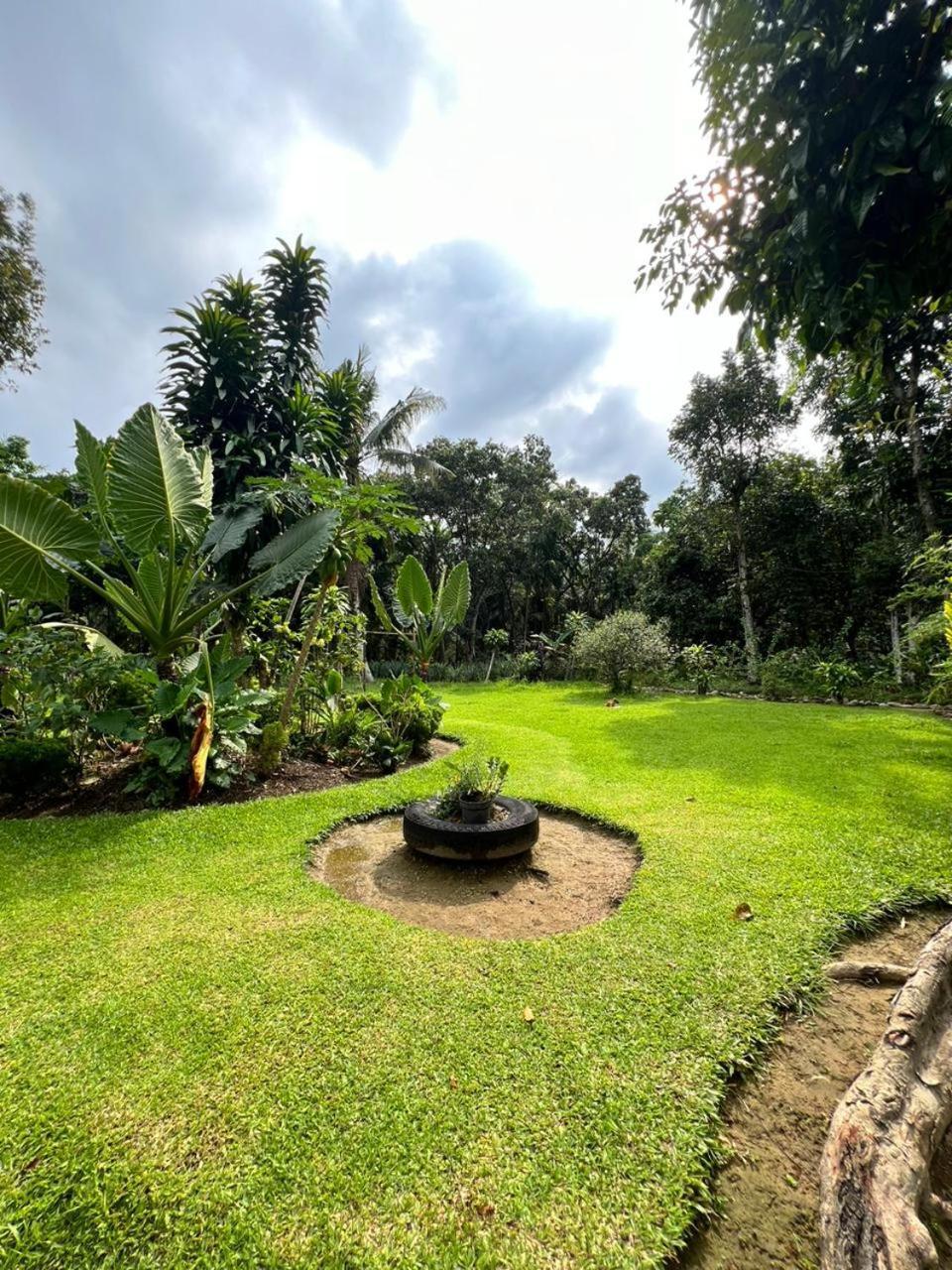 Wisma Batu Mandi Bukit Lawang Luaran gambar