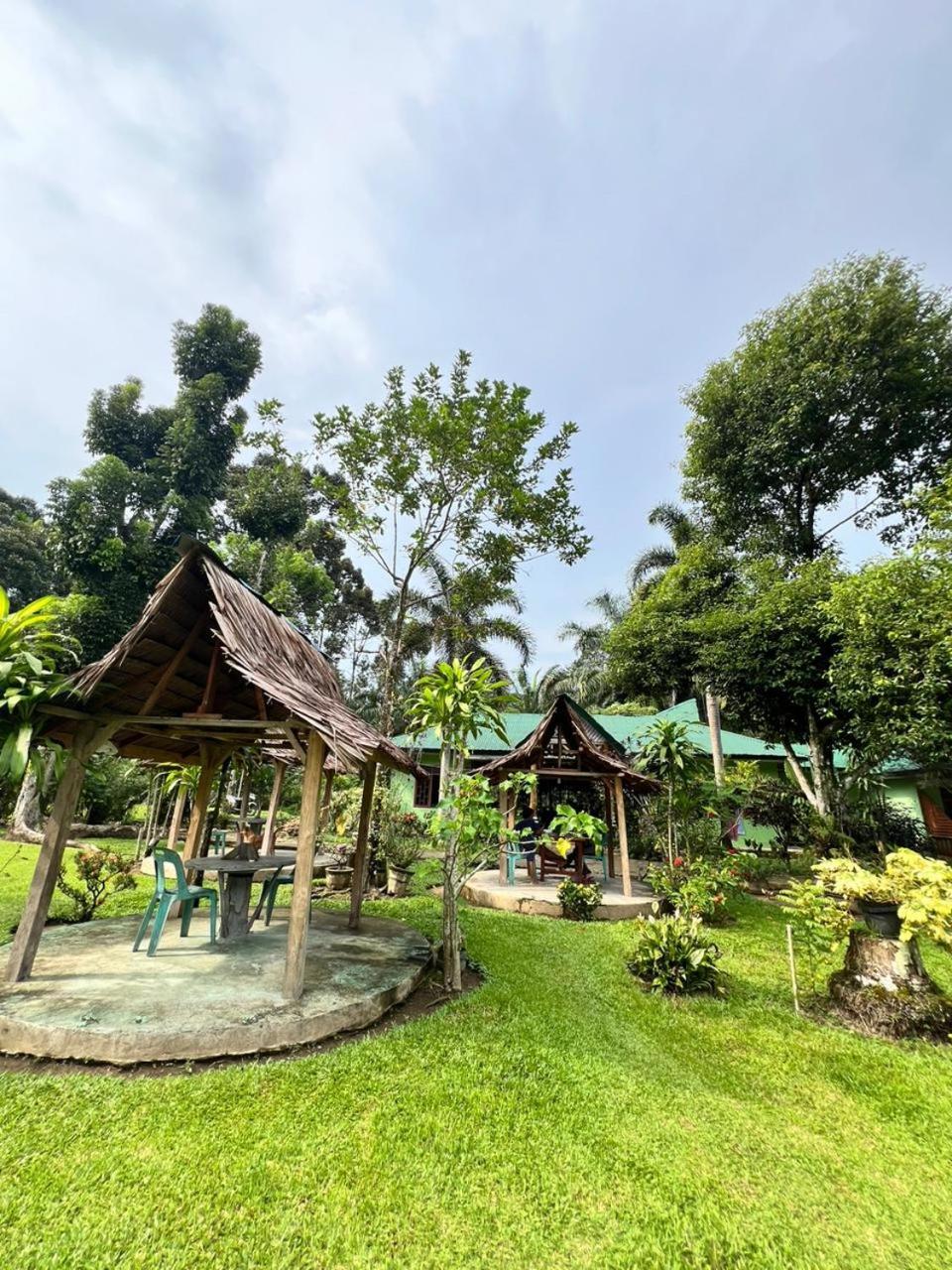 Wisma Batu Mandi Bukit Lawang Luaran gambar