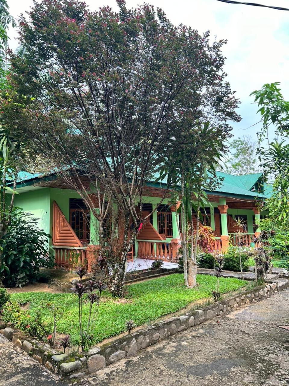 Wisma Batu Mandi Bukit Lawang Luaran gambar