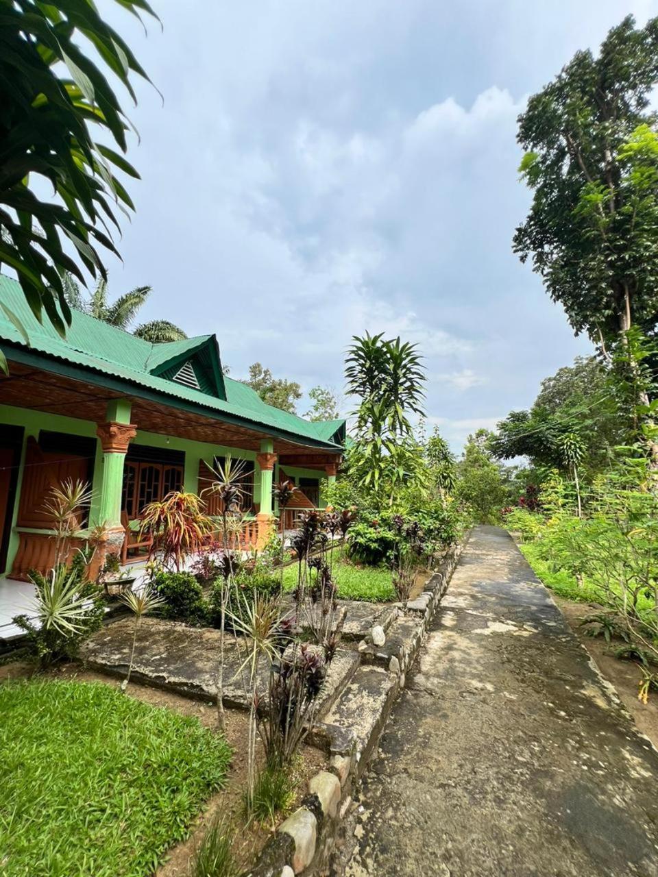 Wisma Batu Mandi Bukit Lawang Luaran gambar