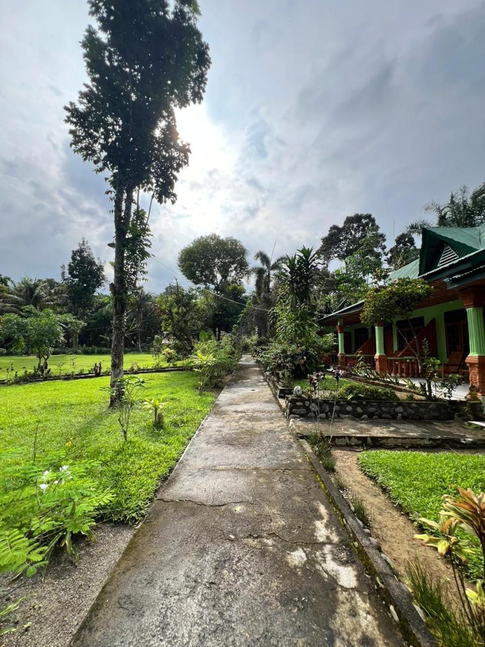Wisma Batu Mandi Bukit Lawang Luaran gambar