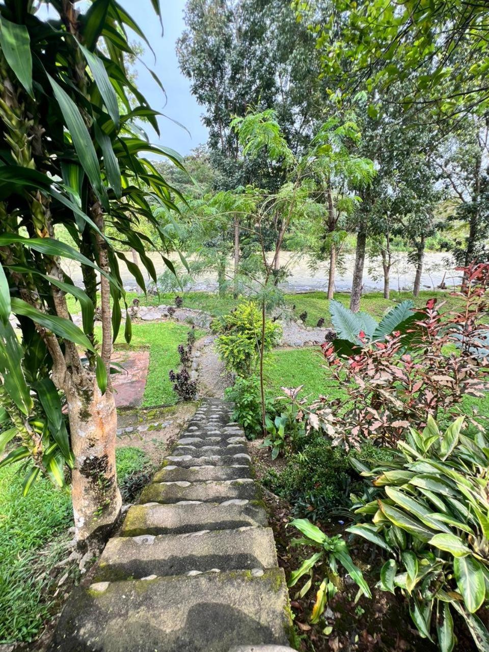 Wisma Batu Mandi Bukit Lawang Luaran gambar