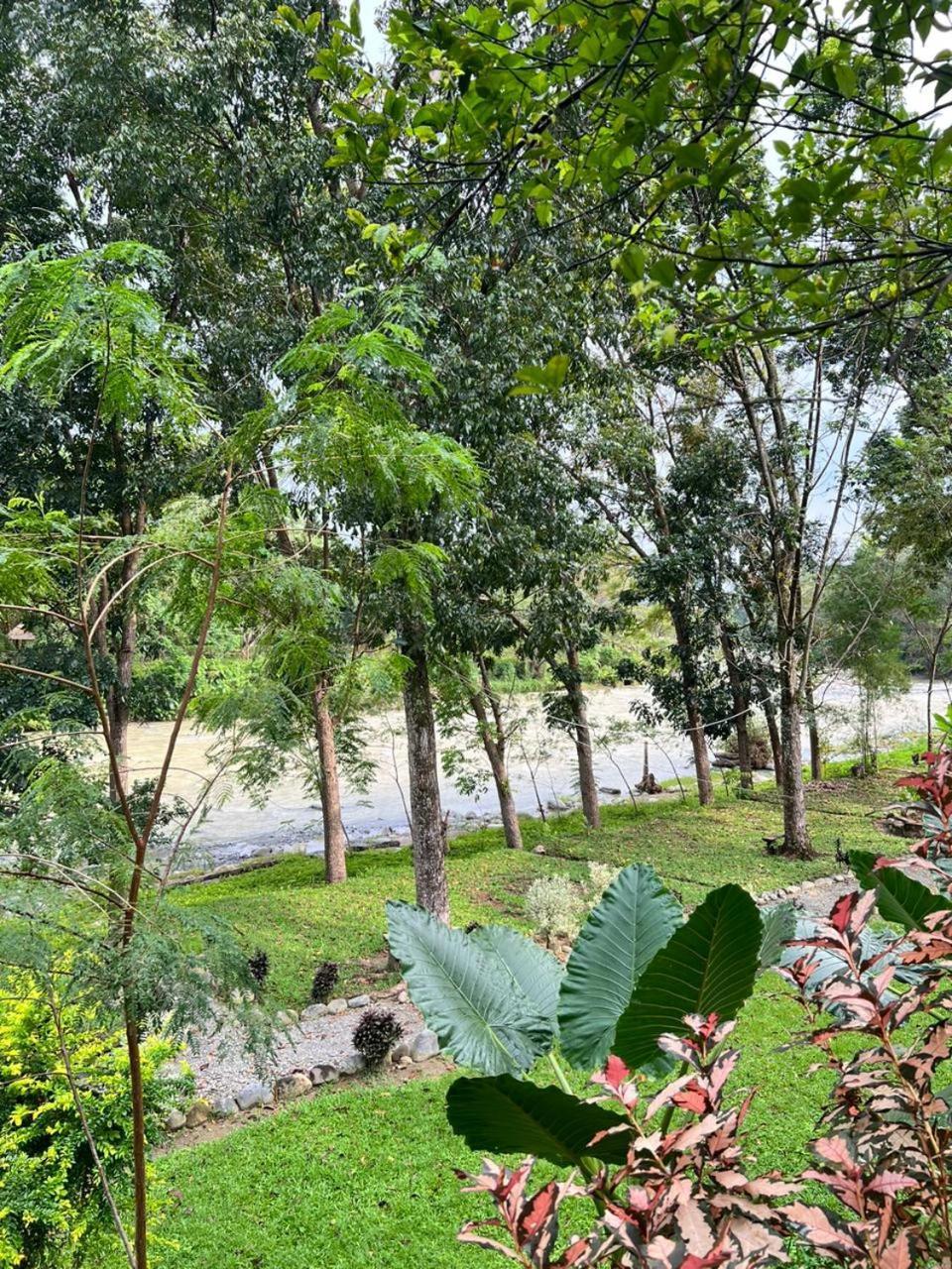 Wisma Batu Mandi Bukit Lawang Luaran gambar