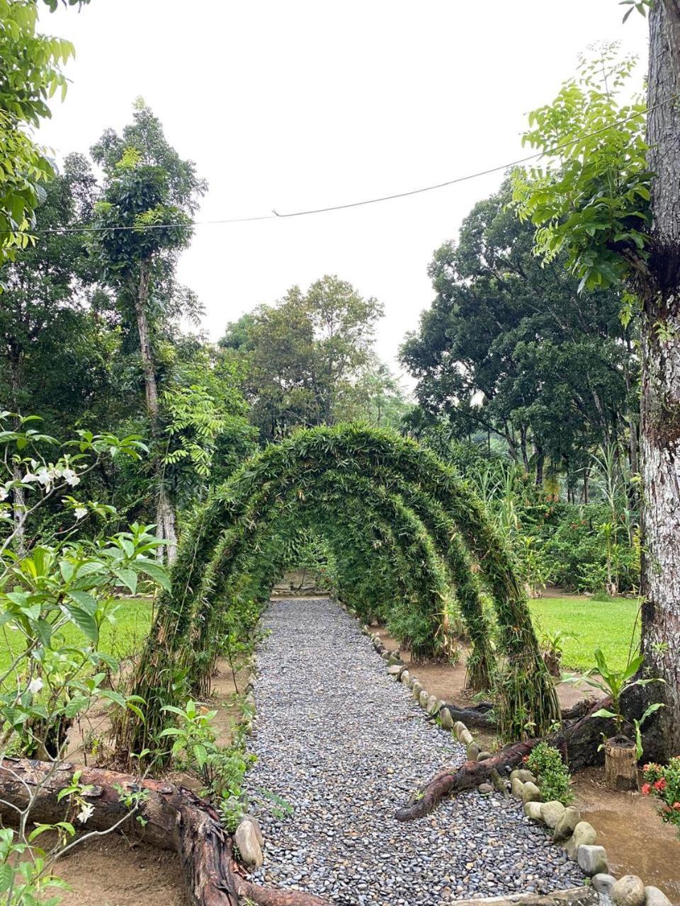 Wisma Batu Mandi Bukit Lawang Luaran gambar