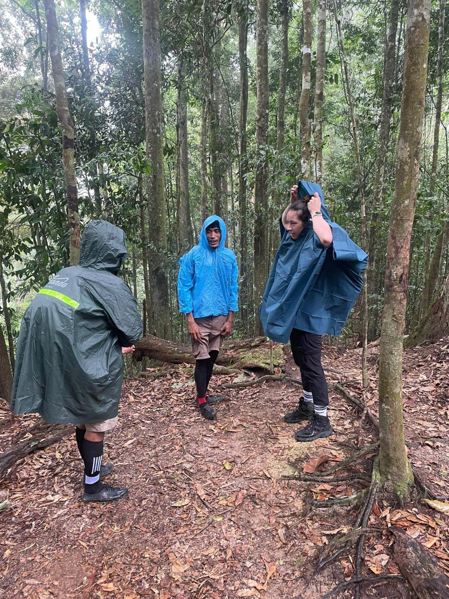 Wisma Batu Mandi Bukit Lawang Luaran gambar