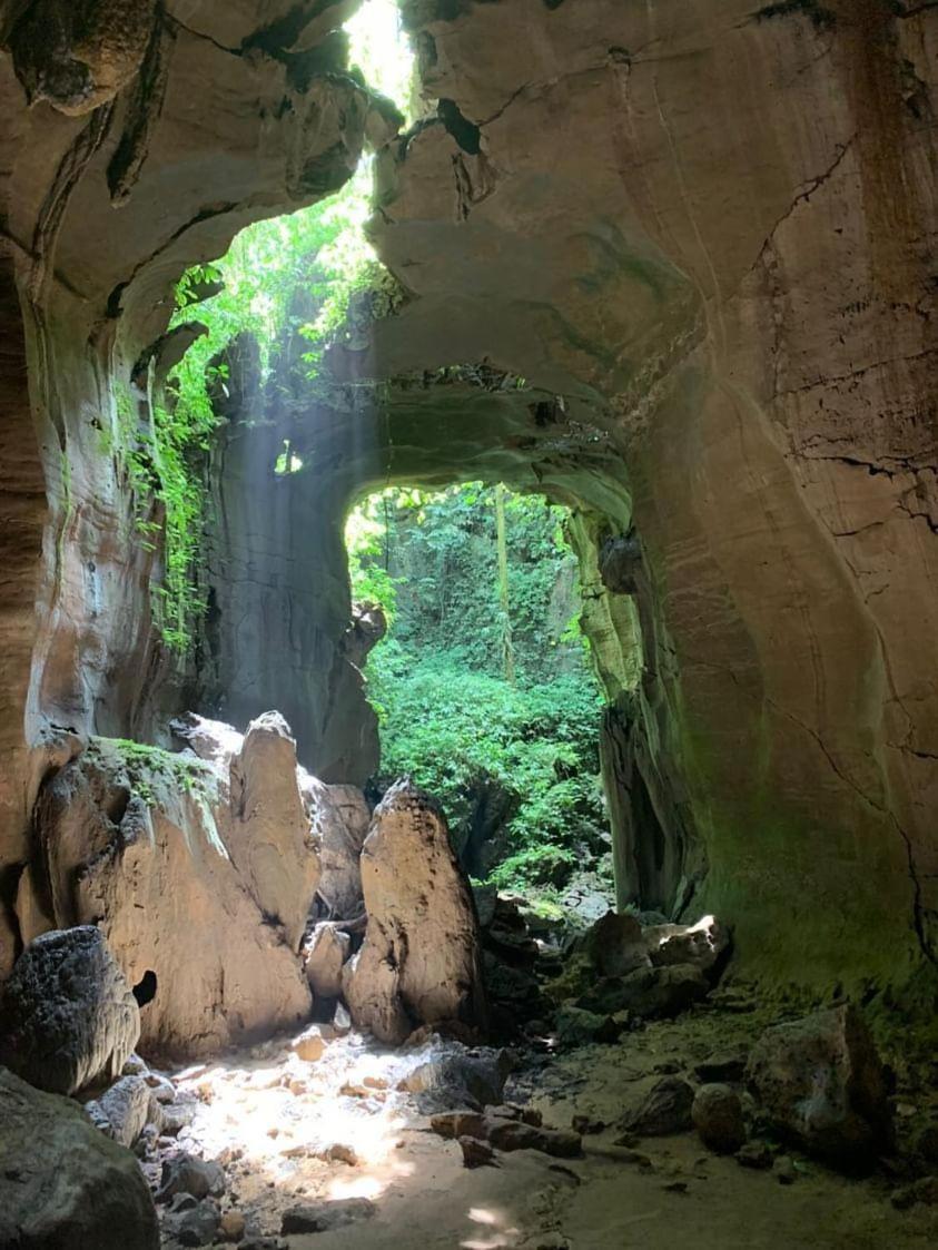 Wisma Batu Mandi Bukit Lawang Luaran gambar