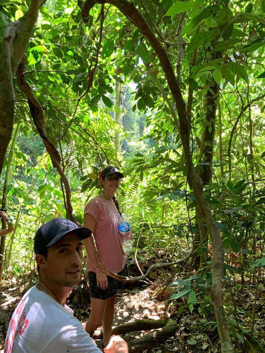 Wisma Batu Mandi Bukit Lawang Luaran gambar