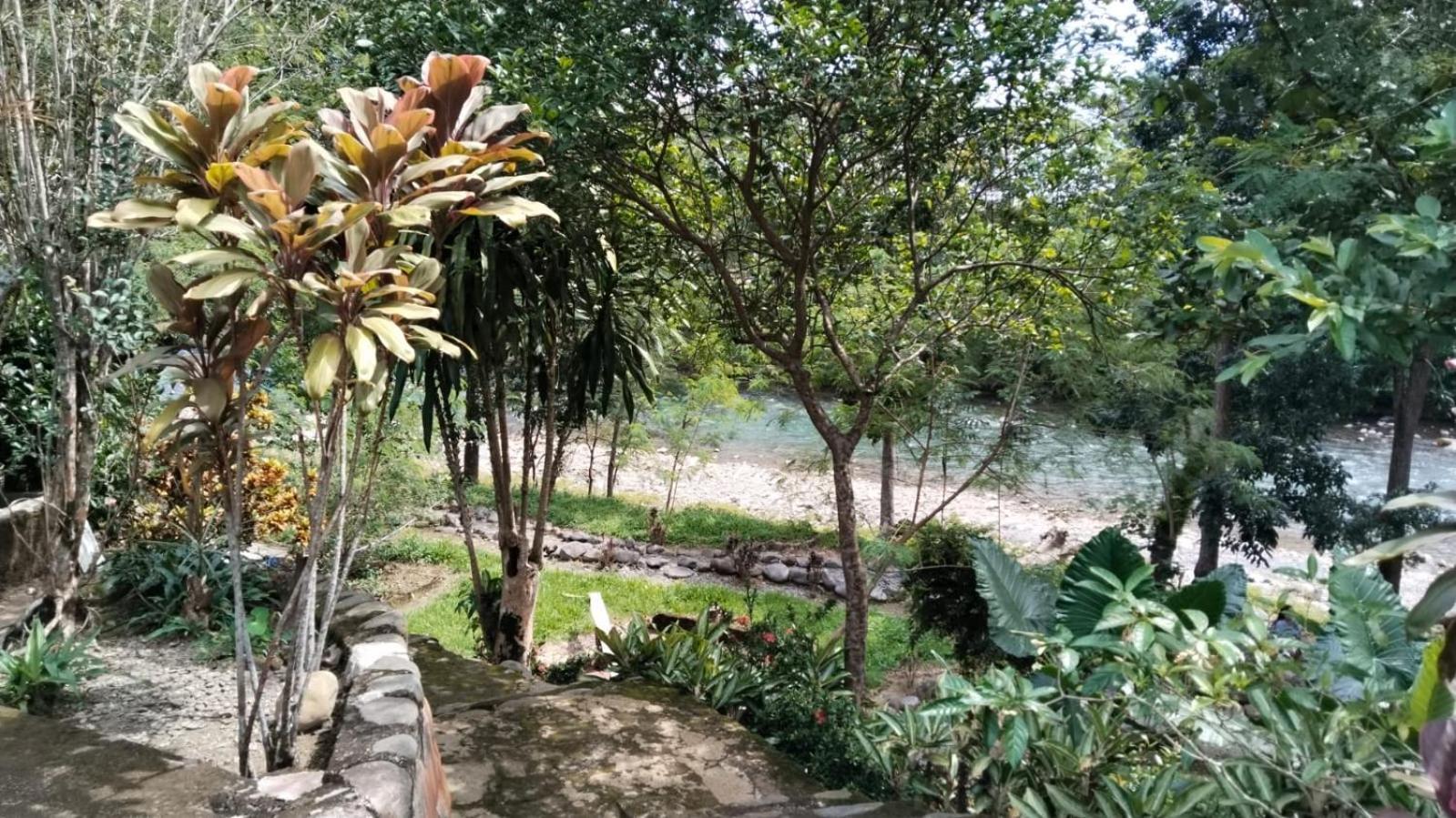 Wisma Batu Mandi Bukit Lawang Luaran gambar